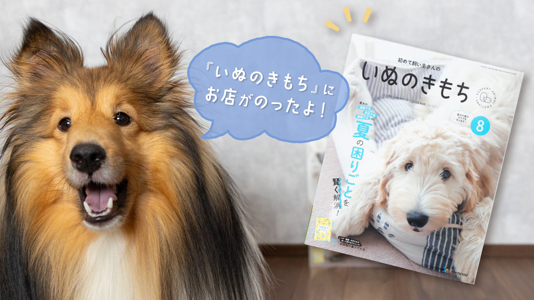 いぬのきもち に掲載されました！