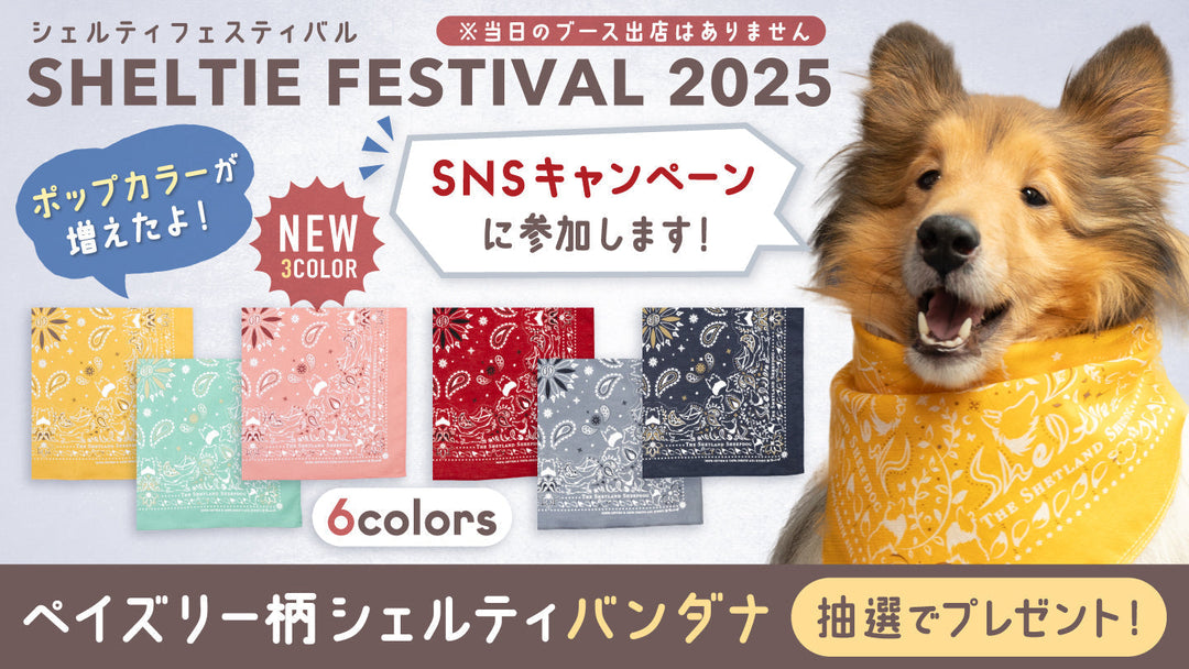 【シェルティフェスティバル2025リベンジ！】SNSキャンペーンの協賛店として参加いたします！