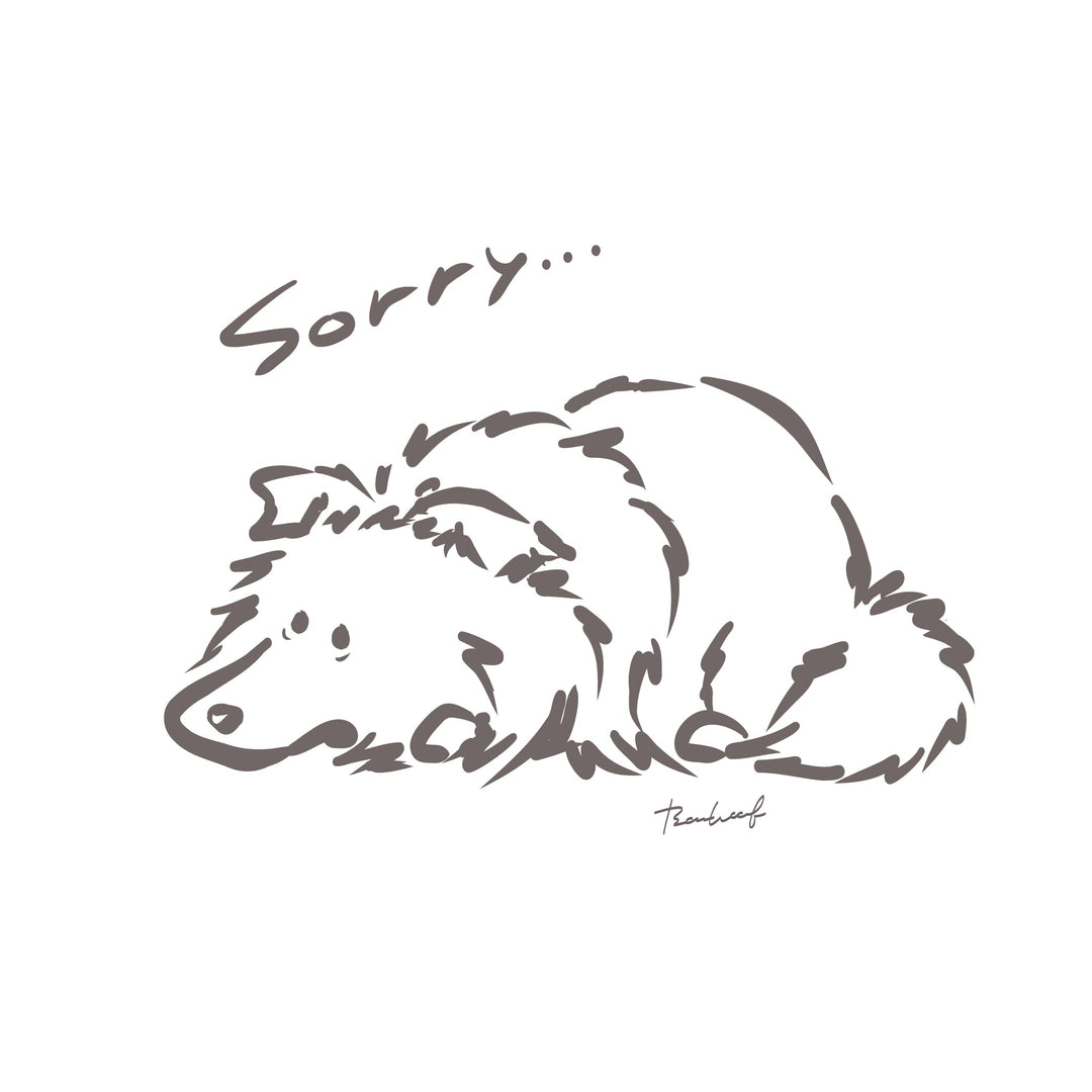 BowWoof Shop outlet sorry