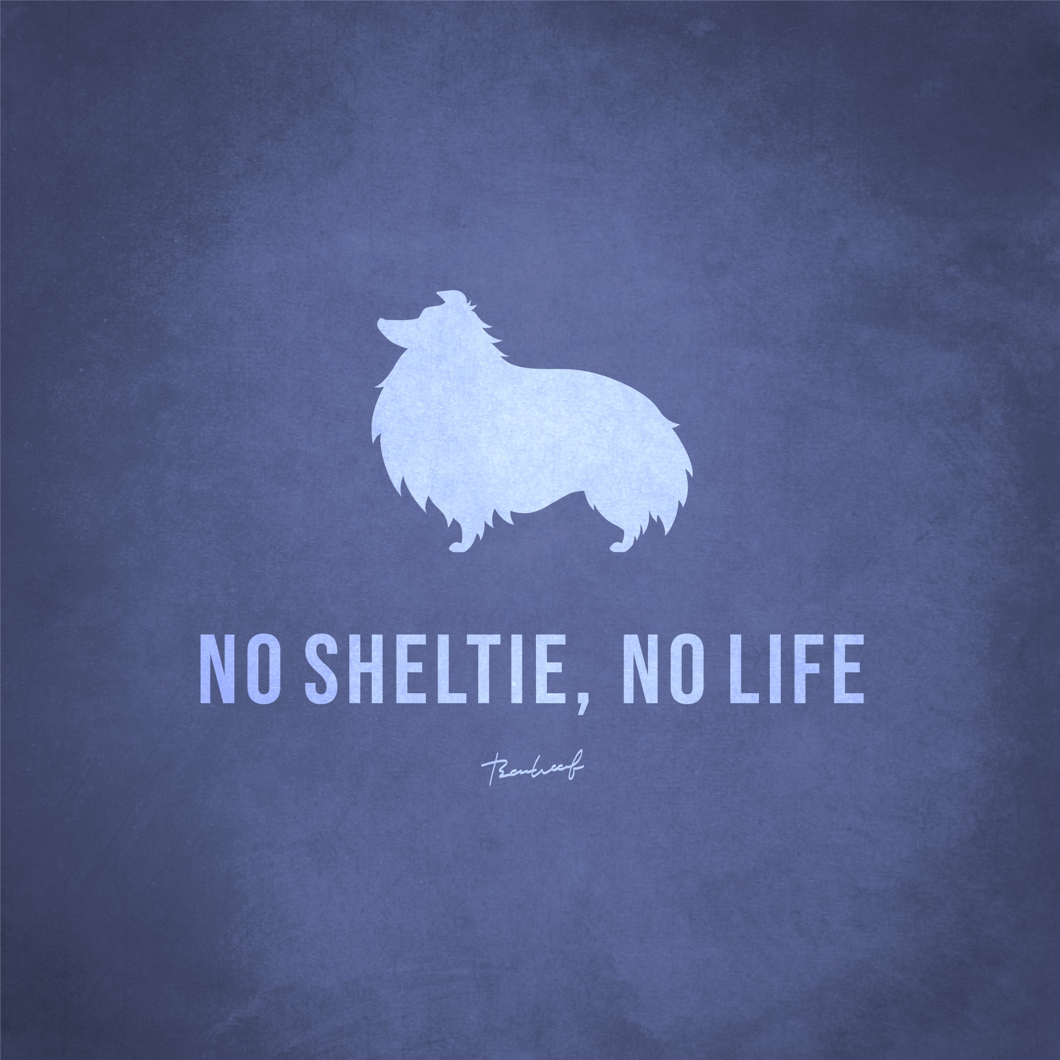 《NO SHELTIE, NO LIFE》