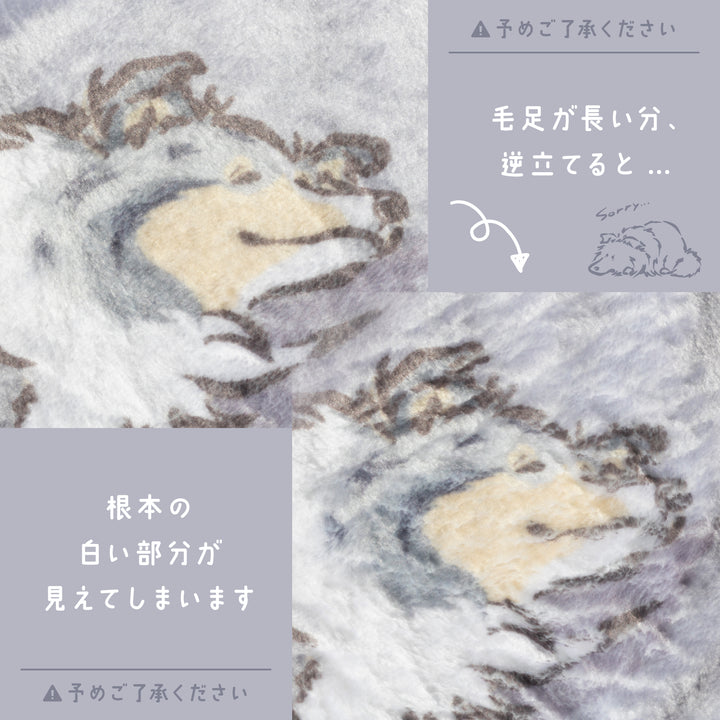 シェルティ ブランケット ひざ掛け（毛足を逆立てた場合）