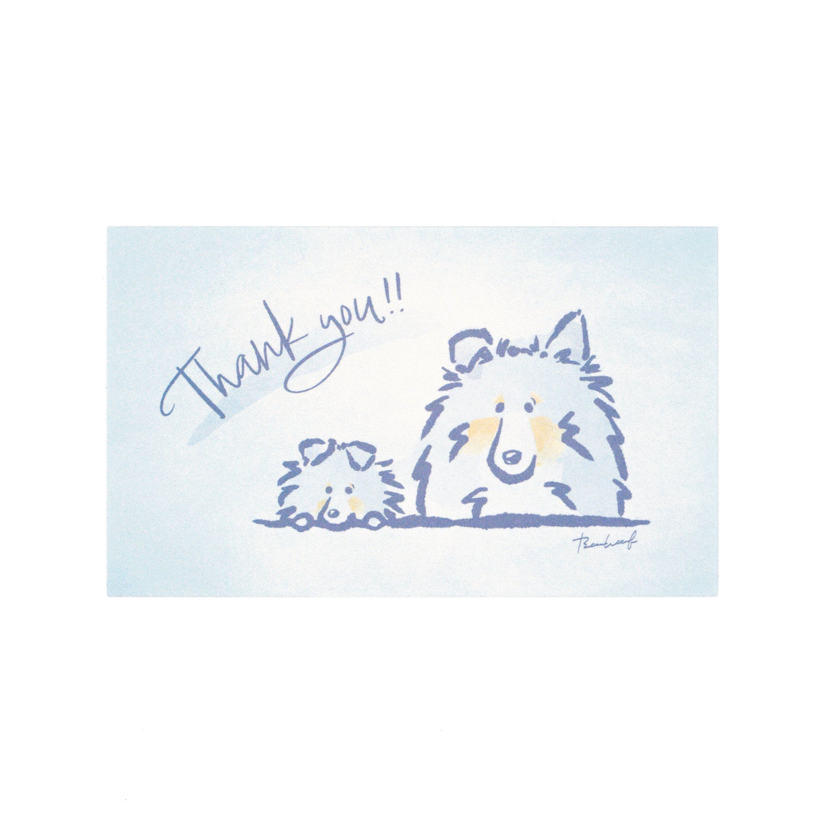 ひょっこりシェルティ Thank youカード サンキューカード ブルーマール