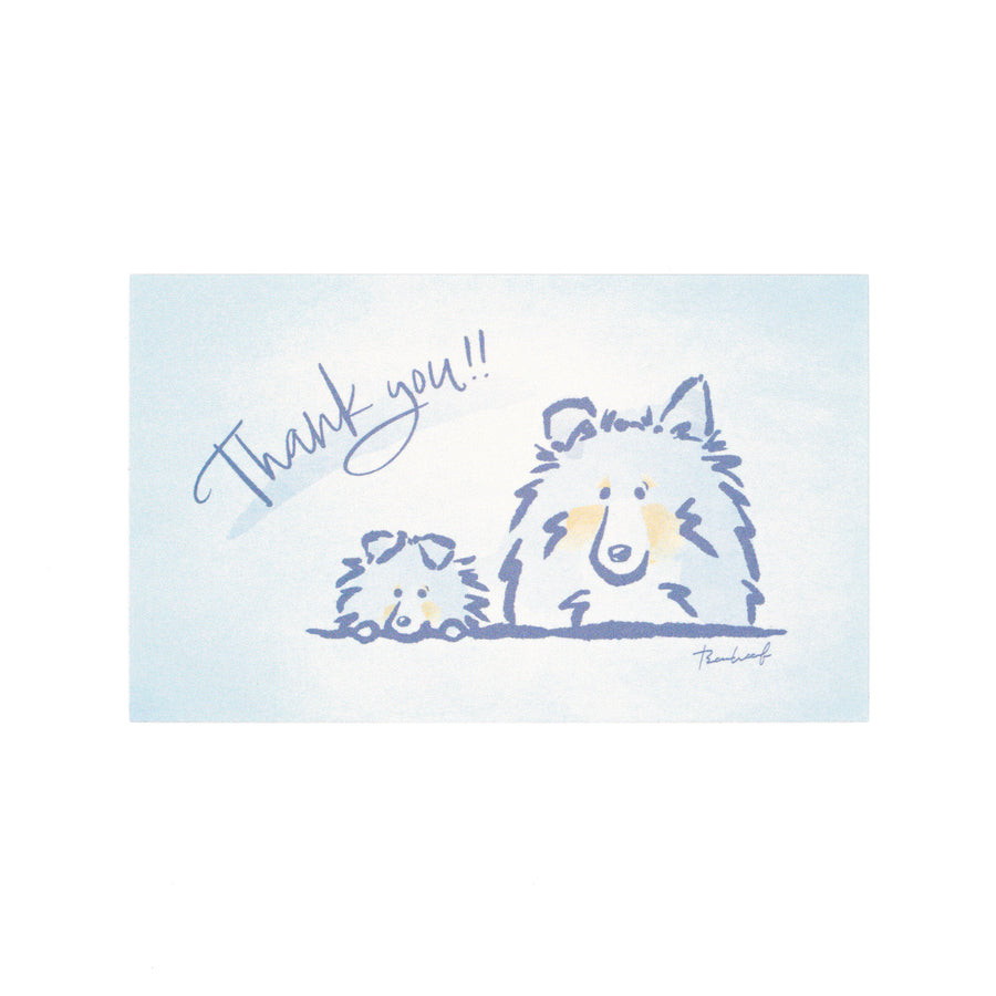 ひょっこりシェルティ Thank youカード サンキューカード ブルーマール