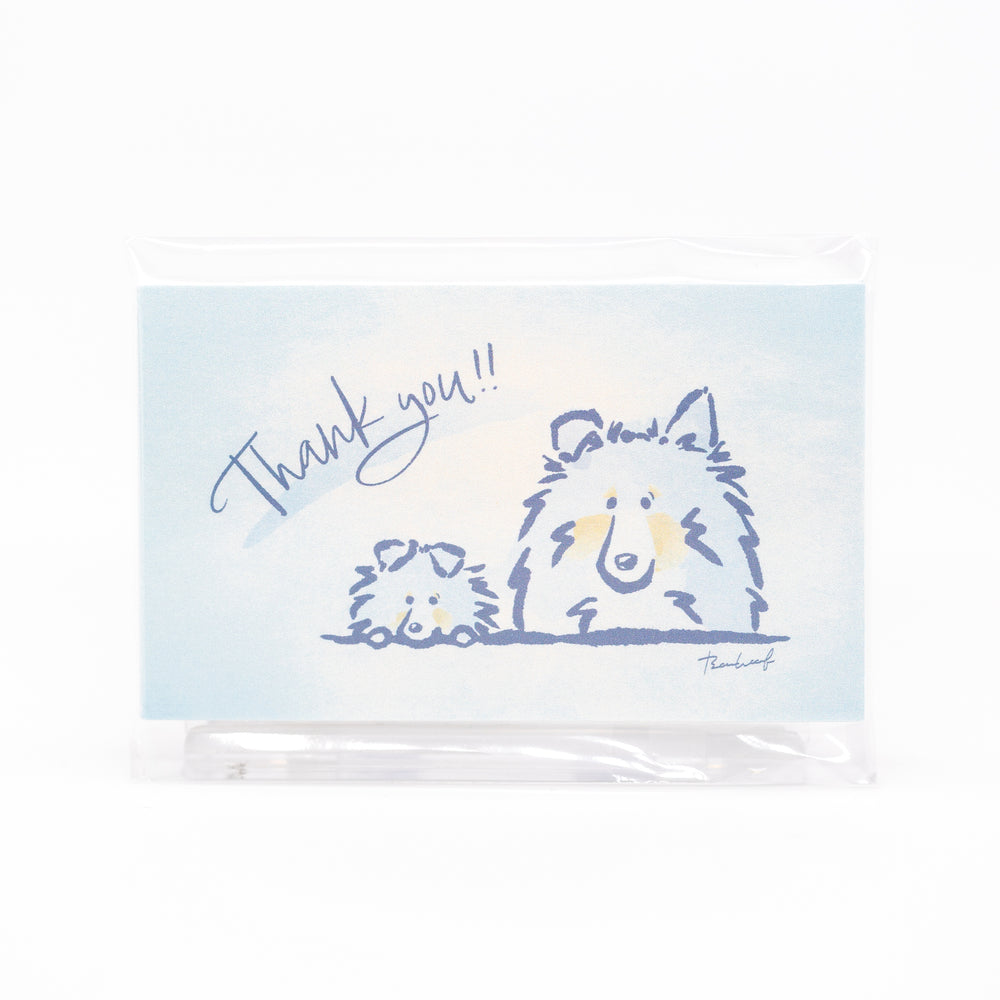 ひょっこりシェルティ Thank youカード サンキューカード ブルーマール