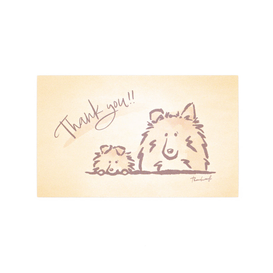 ひょっこりシェルティ Thank youカード サンキューカード セーブル