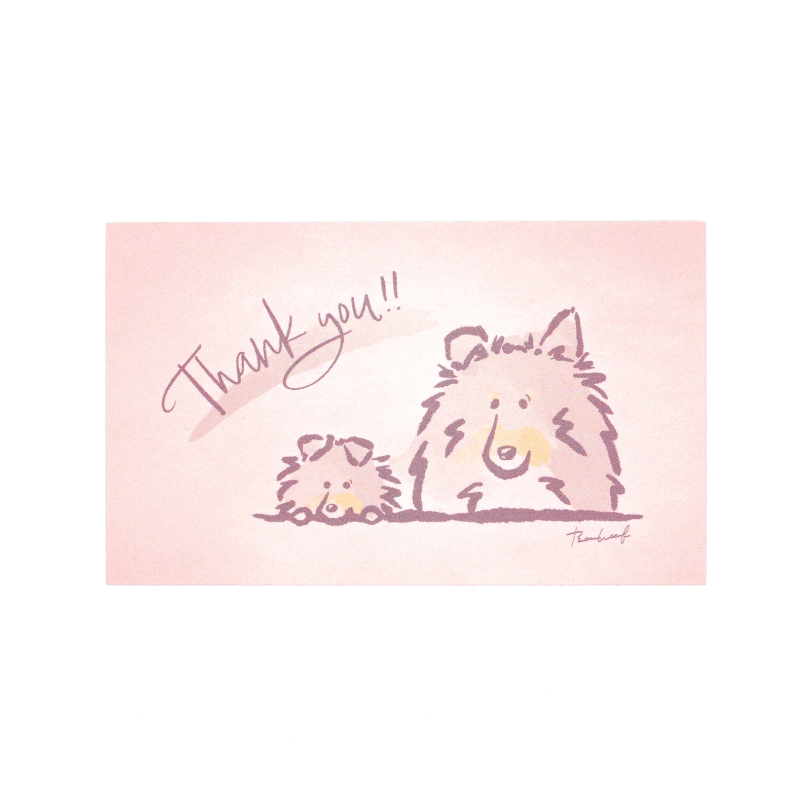 ひょっこりシェルティ Thank youカード サンキューカード トライカラー