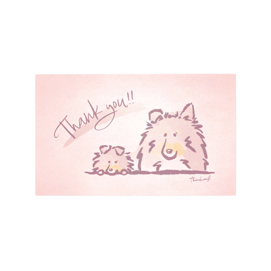 ひょっこりシェルティ Thank youカード サンキューカード トライカラー