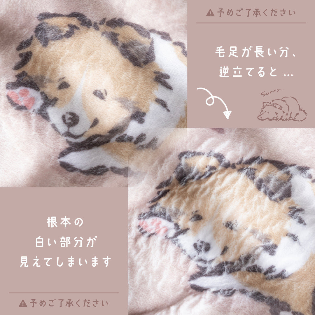 シェルティパピー ブランケット ひざ掛け（毛足を逆立てた場合）