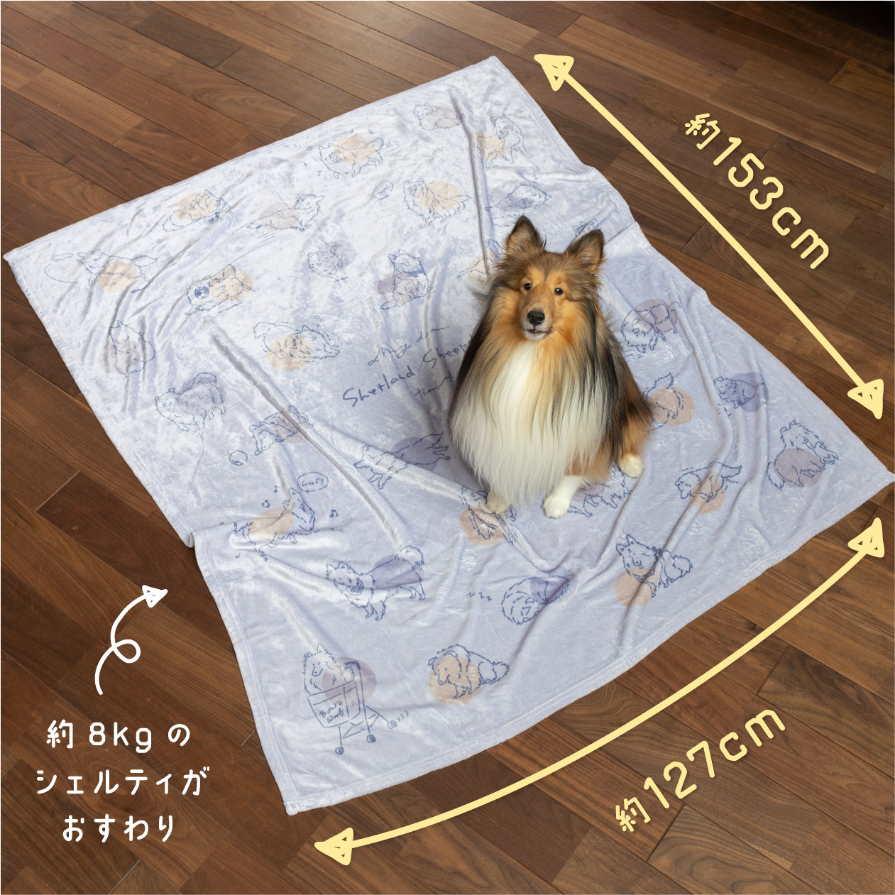 わらわらシェルティコレクション | ふわふわBIGブランケット