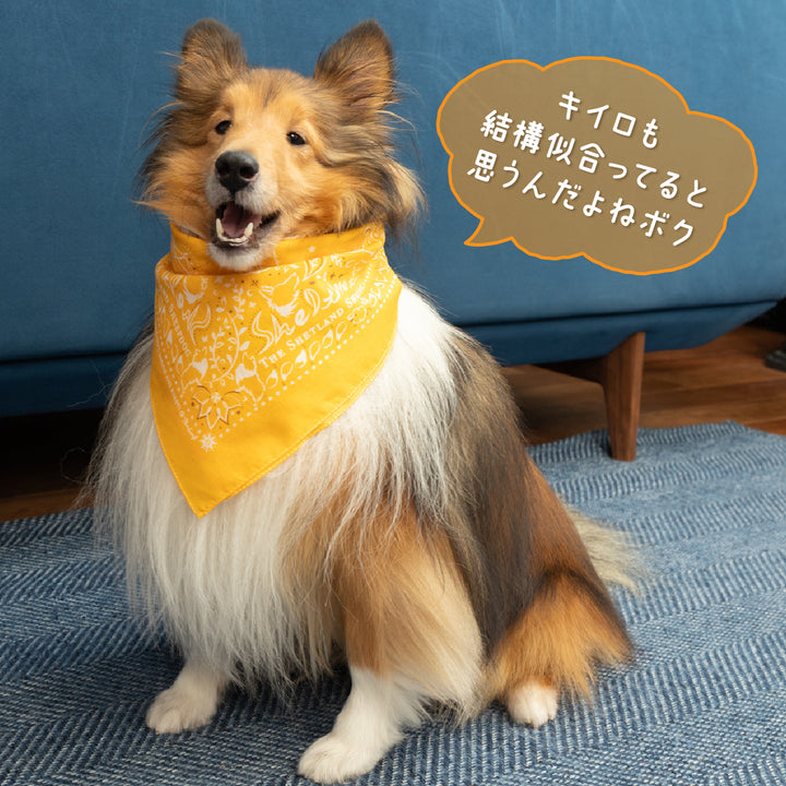 ペイズリー柄シェルティ | バンダナ