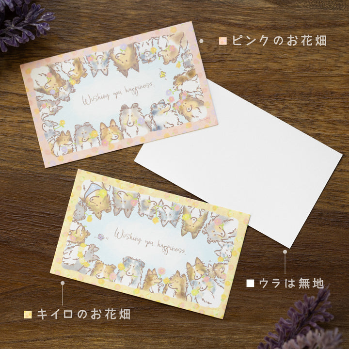 ひょっこりシェルティとお花【キイロのお花畑】 | ミニメッセージカード 15枚セット