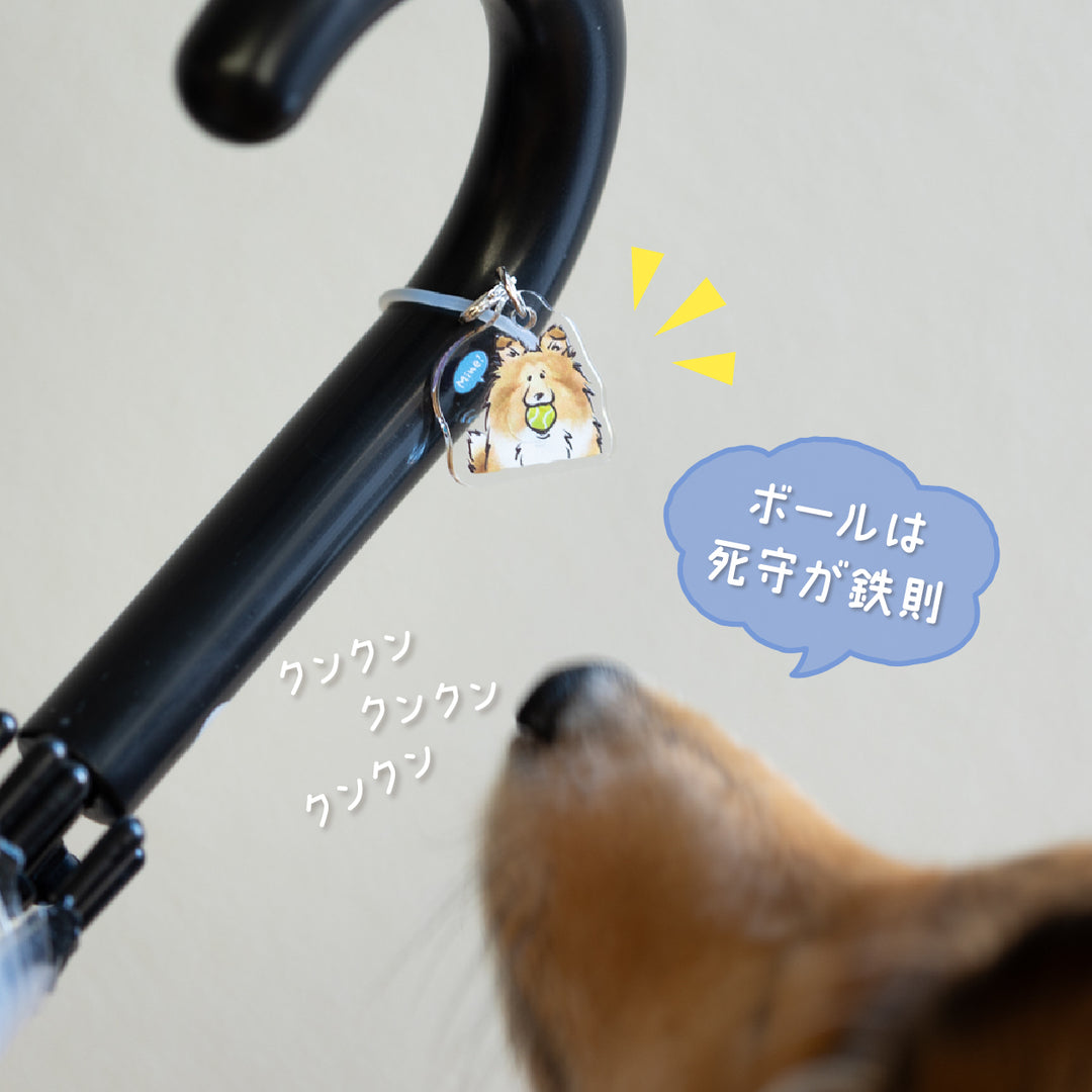 ボール渡したくないシェルティ | めじるしチャーム